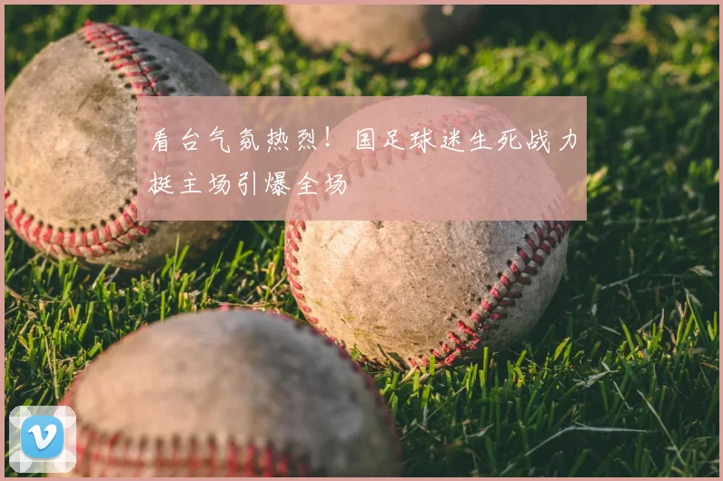 看台气氛热烈!国足球迷生死战力挺主场引爆全场