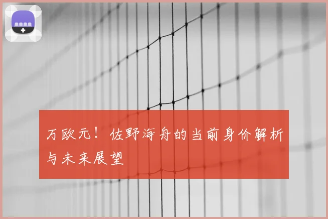 万欧元！佐野海舟的当前身价解析与未来展望