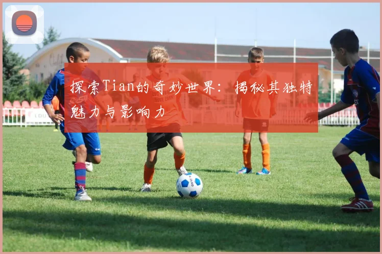 探索Tian的奇妙世界：揭秘其独特魅力与影响力